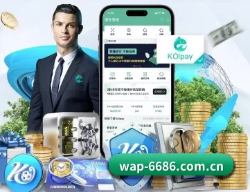 6686体育 APP