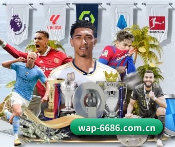 6686体育 APP